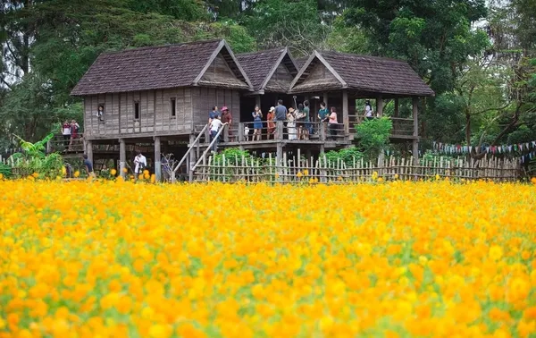 จิม ทอมป์สัน ฟาร์ม