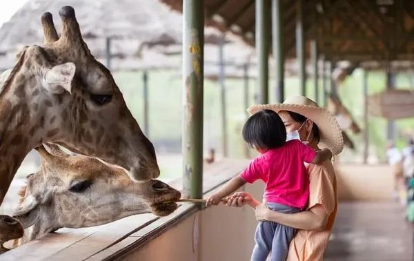 สวนสัตว์นครราชสีมา (Korat Zoo)