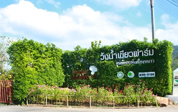 วังน้ำเขียวฟาร์ม