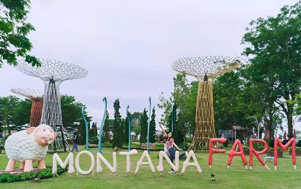 Montana Farm