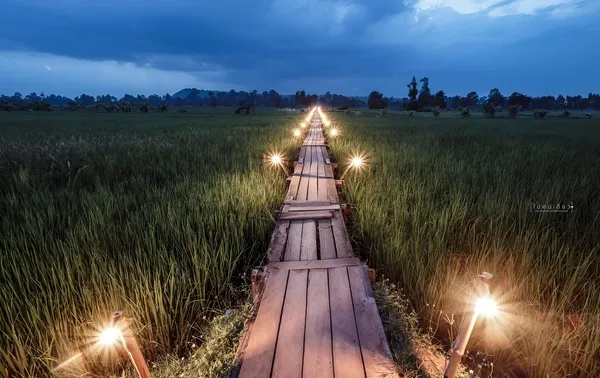 สะพานไม้ 100 ปี