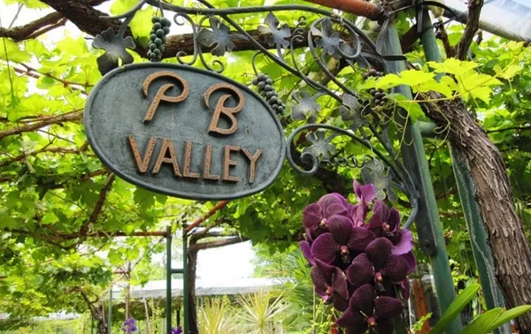 ไร่องุ่น PB Valley Khao Yai Winery
