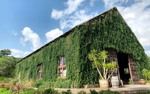 The Birder's Lodge Cafe (BL Cafe & Grill)