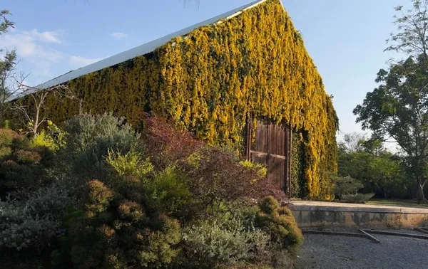 The Birder's Lodge