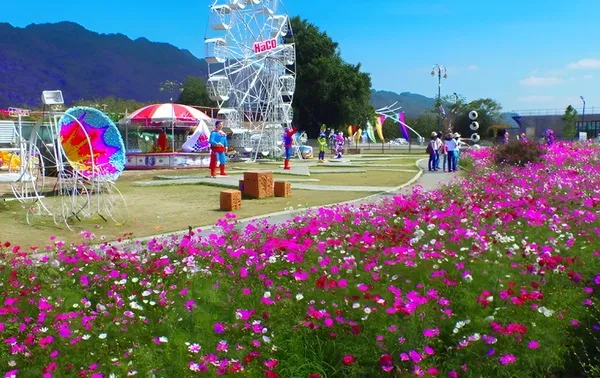 The Bloom By TV Pool