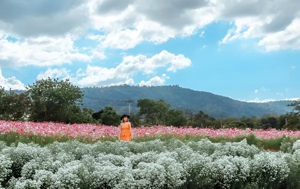 The Secret Garden เขาใหญ่